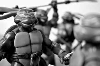 Turtle Toy Art