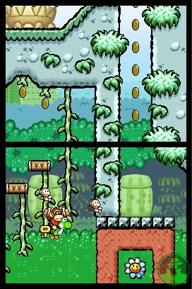 Baby DK climbs the purdy green. Baby DK climbs the purdy green.