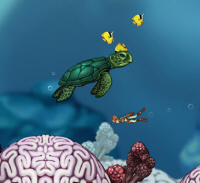 Aquaria PC screenshot