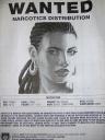 Grand Theft Auto IV Wanted Poster 3