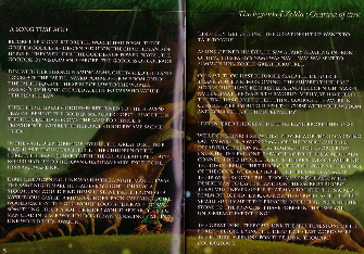 Zelda: Ocarina of Time Story Artwork