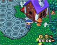 A screenshot of your house in Animal Crossing