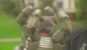BIONIC KITTEN!!!!!!!!! BIONIC KITTEN!!!!!!!!!