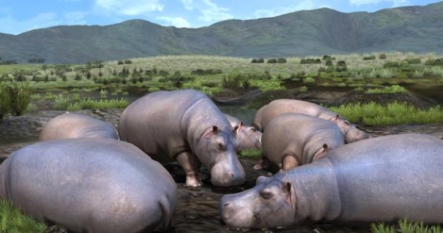 Afrika hippos screenshot. Releases this year 2009 in North America by Natsume Afrika hippos screenshot. Releases this year 2009 in North America by Natsume
