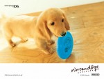Nintendogs wallpaper 1