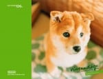 Nintendogs wallpaper 11