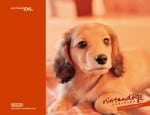 Nintendogs wallpaper 8