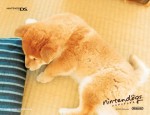 Nintendogs wallpaper 9