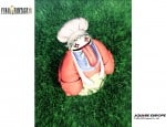 Quina Final Fantasy IX wallpaper