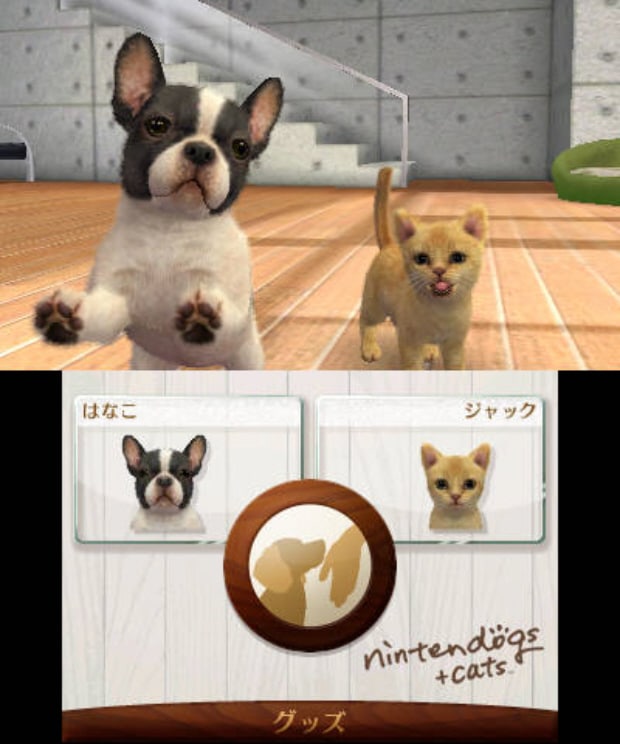 how to get free money on nintendogs and cats 3ds