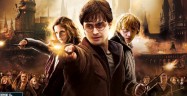 Harry Potter and the Deathly Hallows Part 2 walkthrough artwork