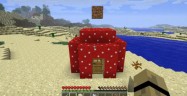 Grown House In Minecraft