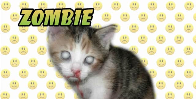 Zombie Kitten in All Zombies Must Die Kitten Zombie in All Zombies Must Die