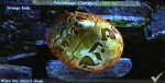 Uncharted Golden Abyss Strange Relic Location Screenshot Uncharted Golden Abyss Strange Relic Location Screenshot