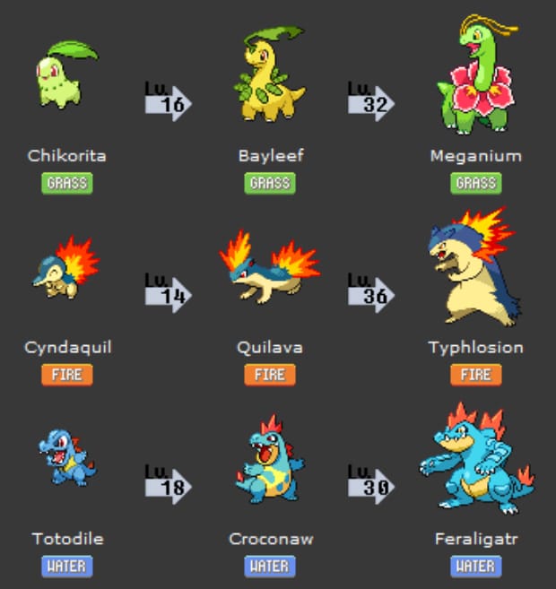 Which Starter Is The Best Choice?